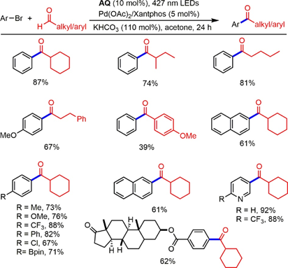 1695351645625215.jpg 1695351645625215.jpg