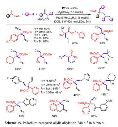 1695362024614035.jpg 1695362024614035.jpg
