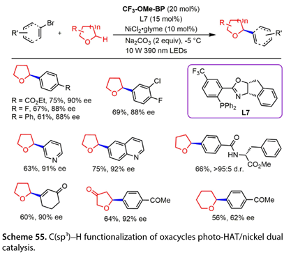 1695363196113159.jpg 1695363196113159.jpg